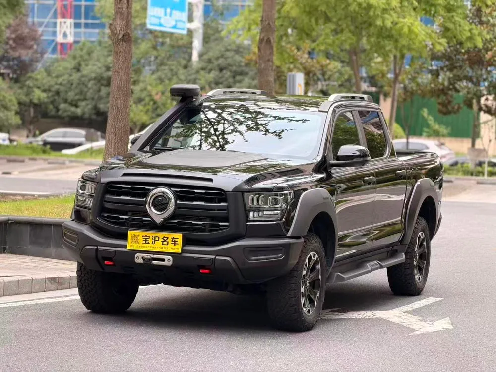 Great Wall Shanhai Cannon, 2023