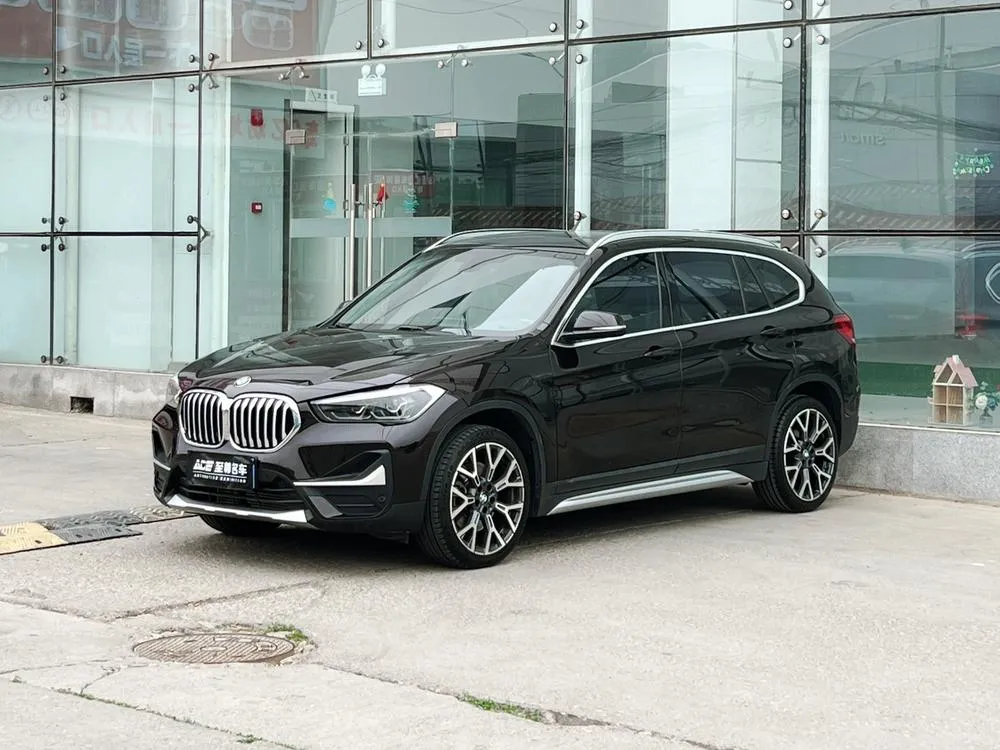 BMW X1 xDrive25Li Prestige Version, 2020 — фото 1