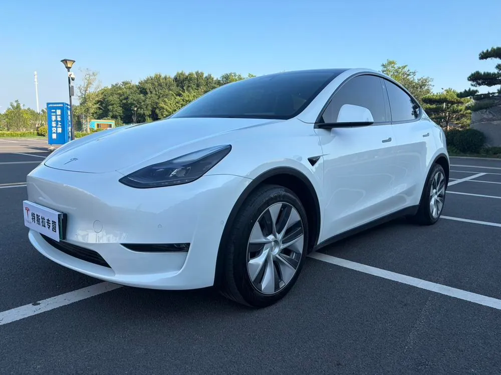 Tesla Model Y Long Range AWD Edition, 2022 — фото 1