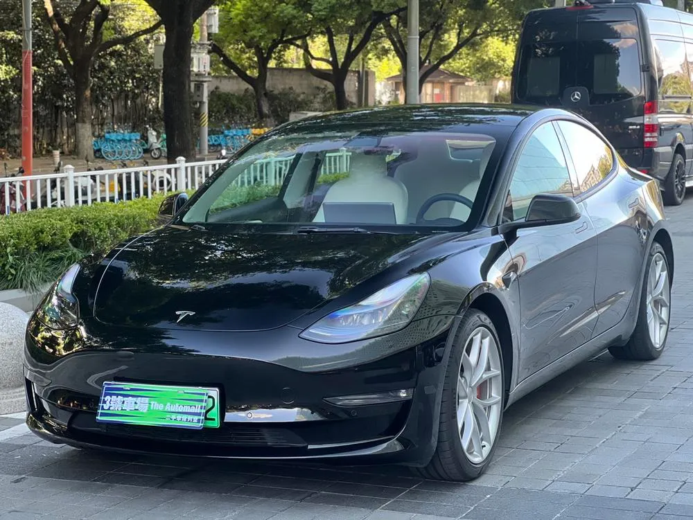 Tesla Model 3 Performance High Performance AWD Edition, 2022 — фото 1
