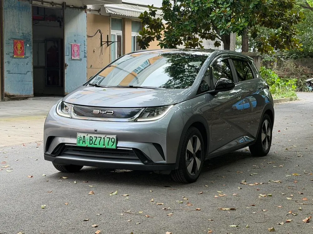 BYD Dolphin, 2023