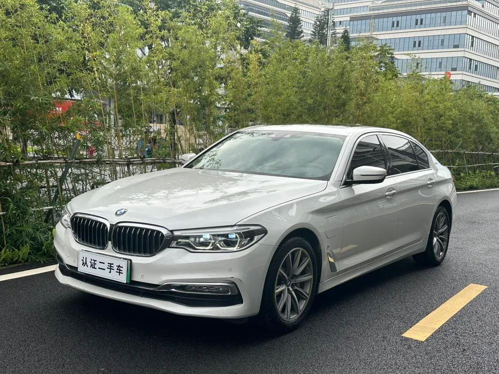 BMW 5-Series PHEV 530Le Luxury, 2019 — фото 1
