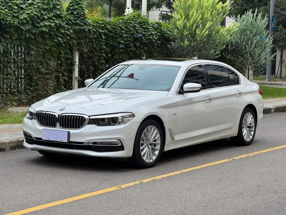 BMW 5-Series Facelift 530Li Leading Version Luxury, 2018 — фото 1