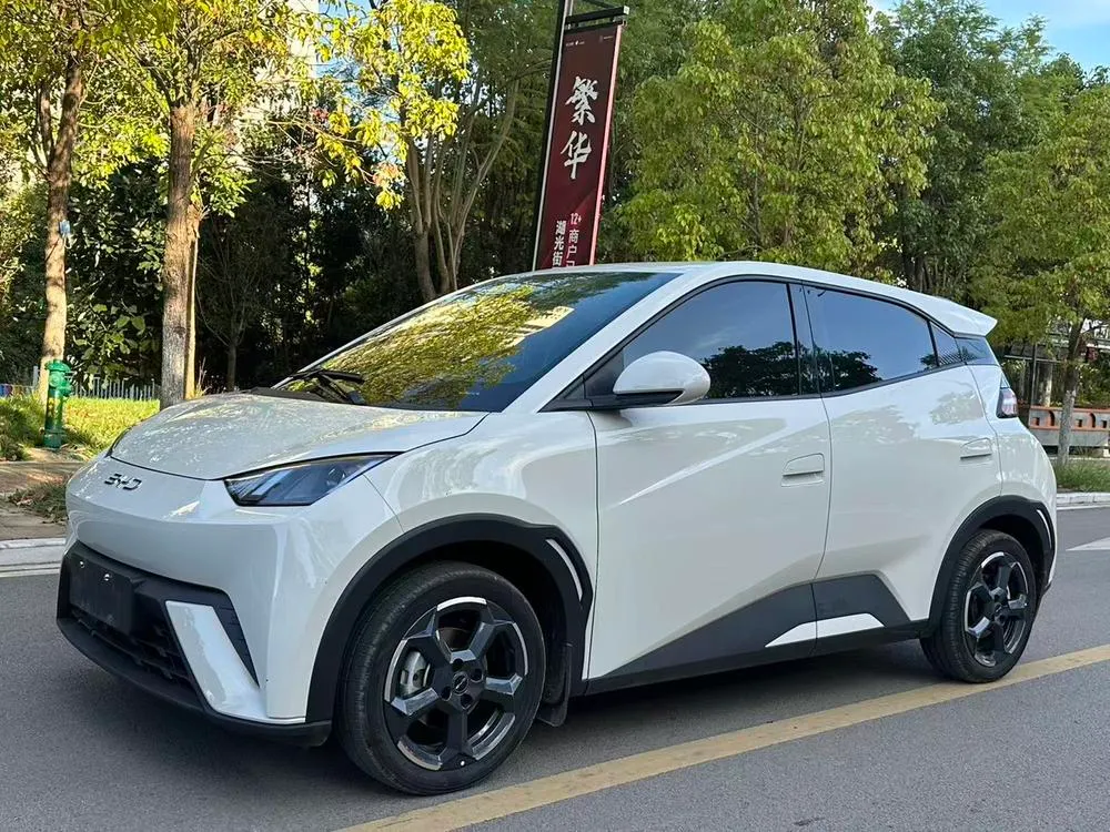 BYD Seagull Glory Edition 305KM Edition, 2024 — фото 1