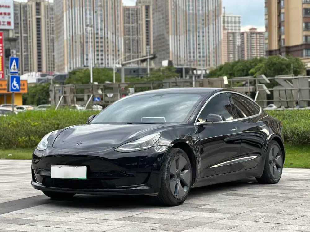 Tesla Model 3 Standard Range RWD Upgraded Edition, 2020 — фото 1