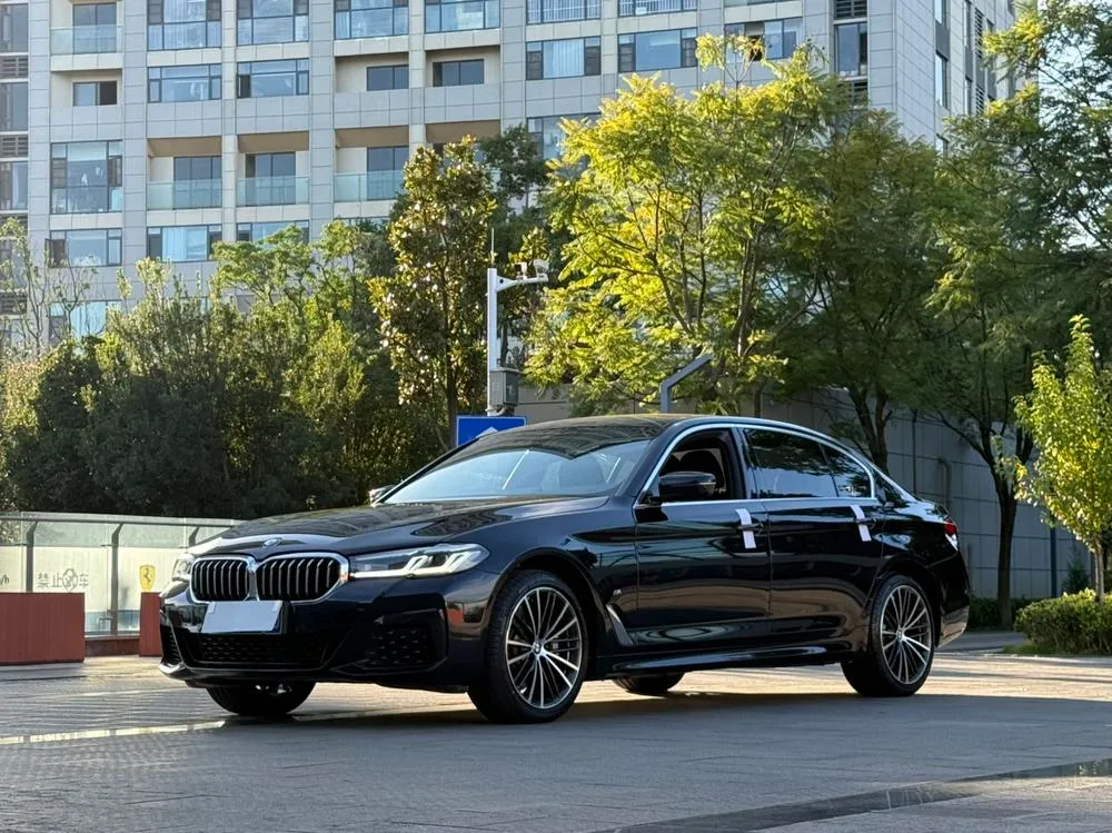 BMW 5-Series 530Li Leading Version M Sport, 2023 — фото 1