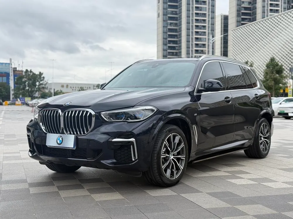 BMW X5 xDrive 30Li Prestige Version M Sport, 2022 — фото 1