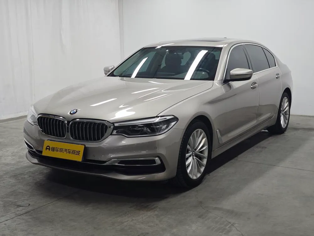BMW 5-Series 530Li Leading Version Luxury, 2020 — фото 1