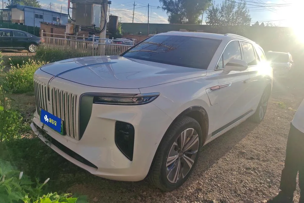 Hongqi E-HS9, 2020