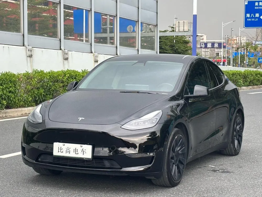 Tesla Model Y Standard Range Edition, 2021 — фото 1