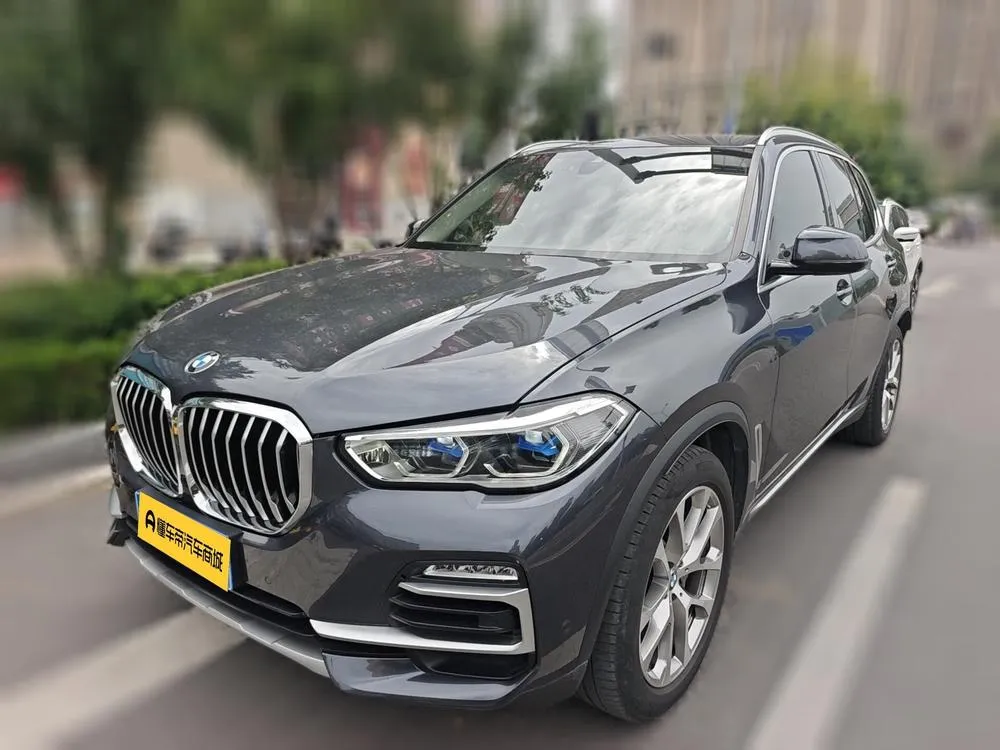 BMW X5 (Import) xDrive30i X, 2021 — фото 1