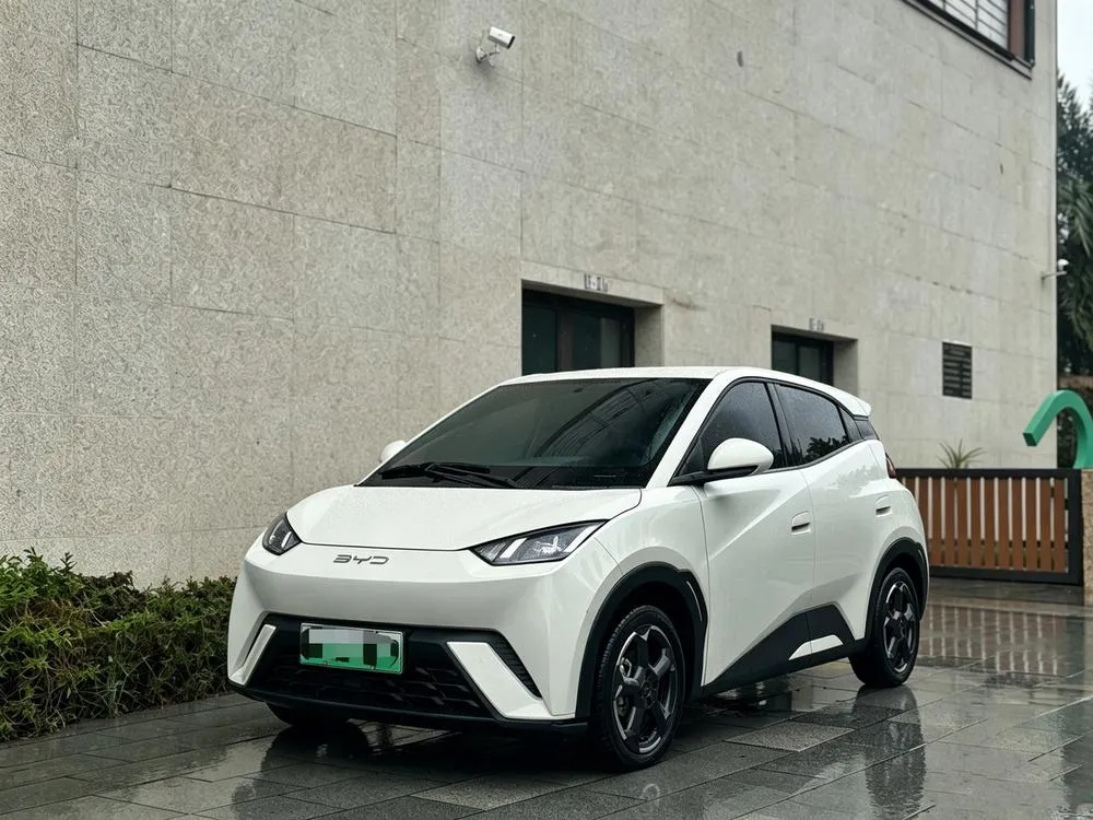 BYD Seagull, 2023