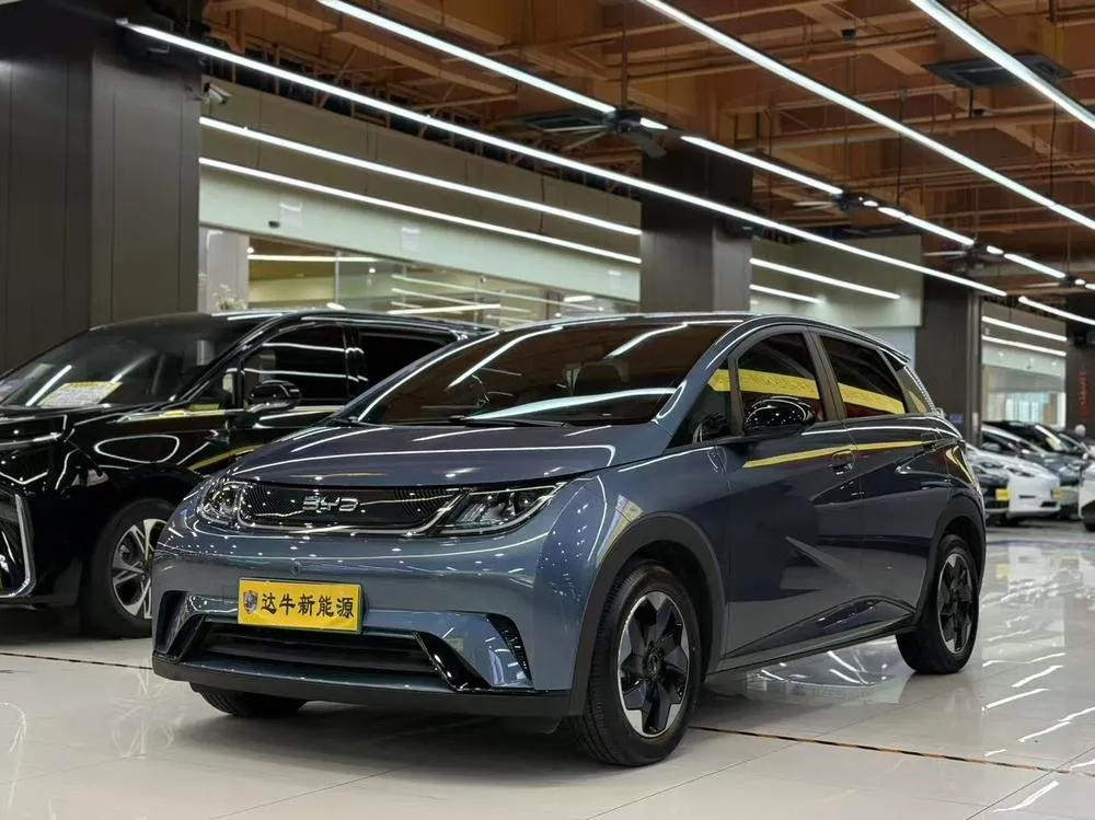 BYD Dolphin 420KM Edition, 2025 — фото 1