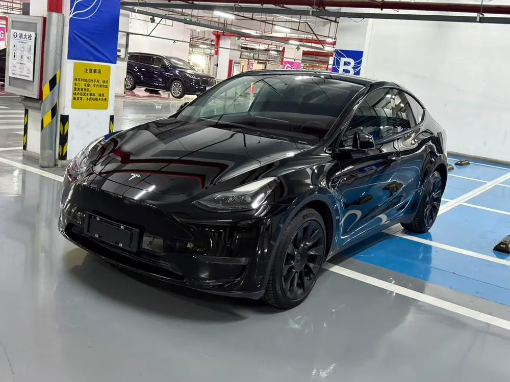 Tesla Model Y Standard Range Edition, 2021 — фото 1