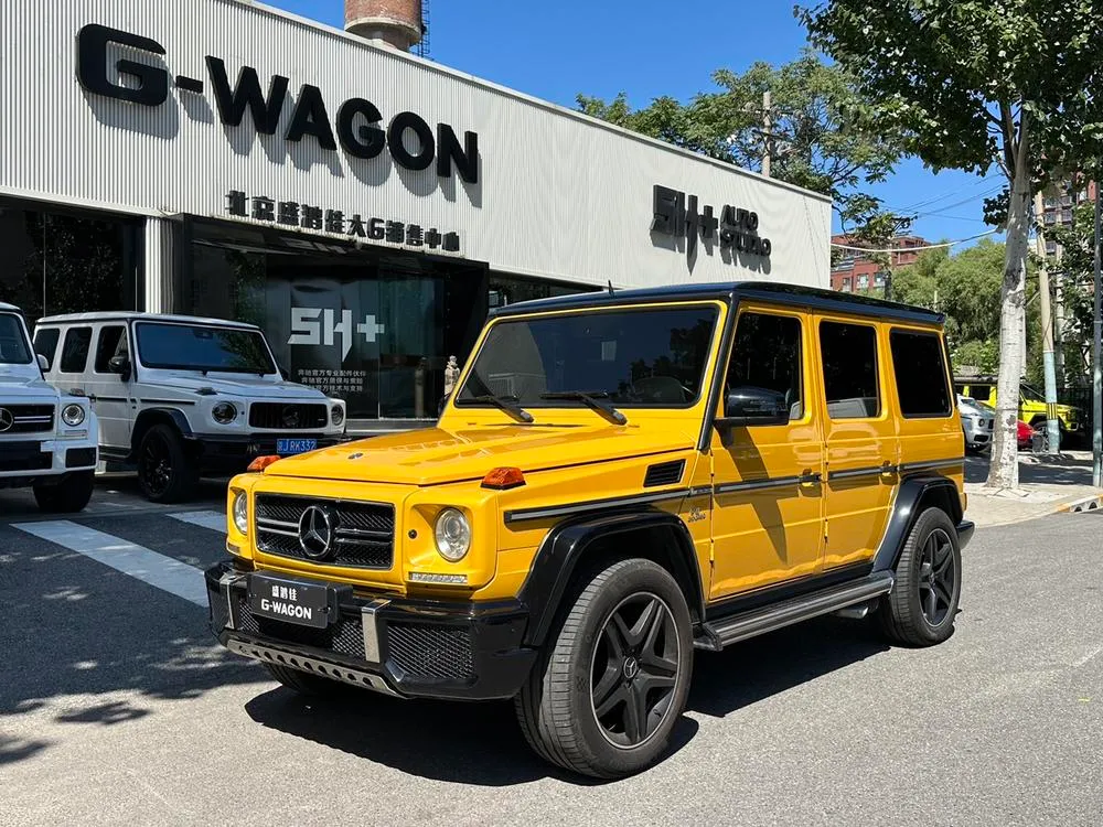 Mercedes-Benz G-Class AMG AMG G 63 Limited Edition, 2015 — фото 1