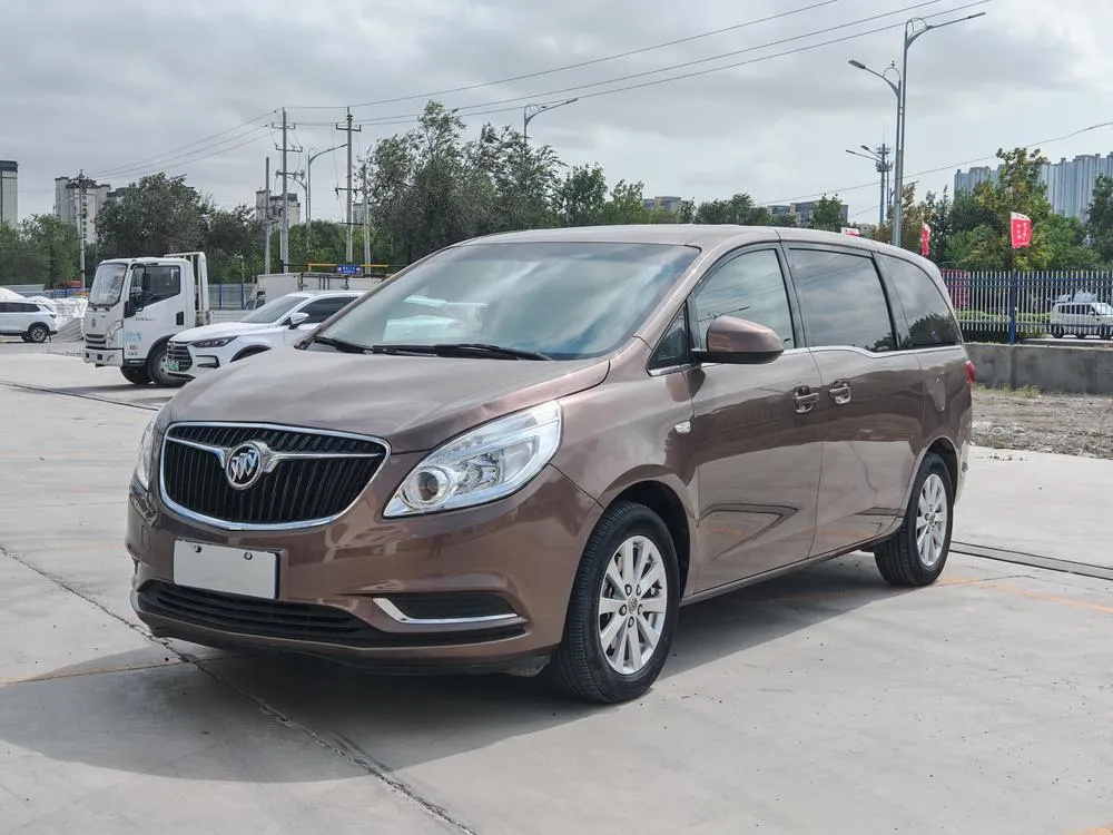 Buick GL8 25S Luxury Version CN5, 2017 — фото 1