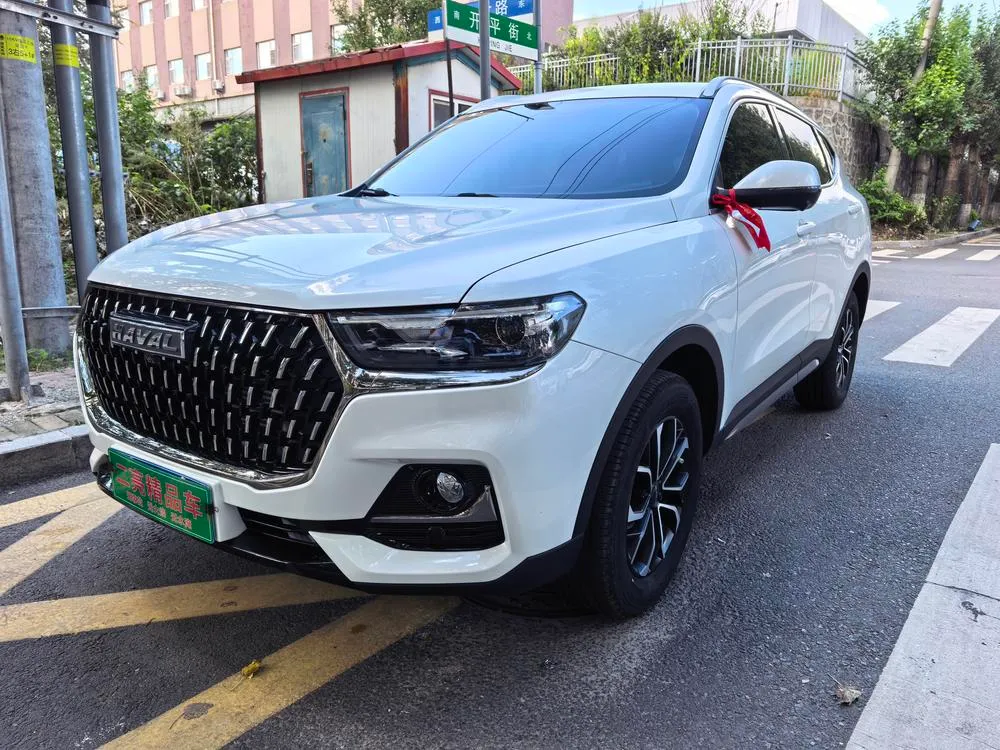 Haval H6 Trendy Edition 1.5T Auto Edition, 2023 — фото 1