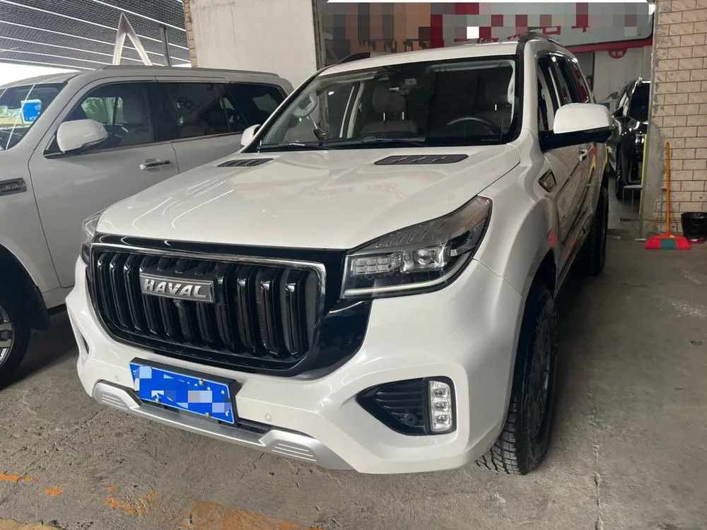 Haval H9 2.0T Gasoline 4WD Premium Version 7 Seater, 2022 — фото 1