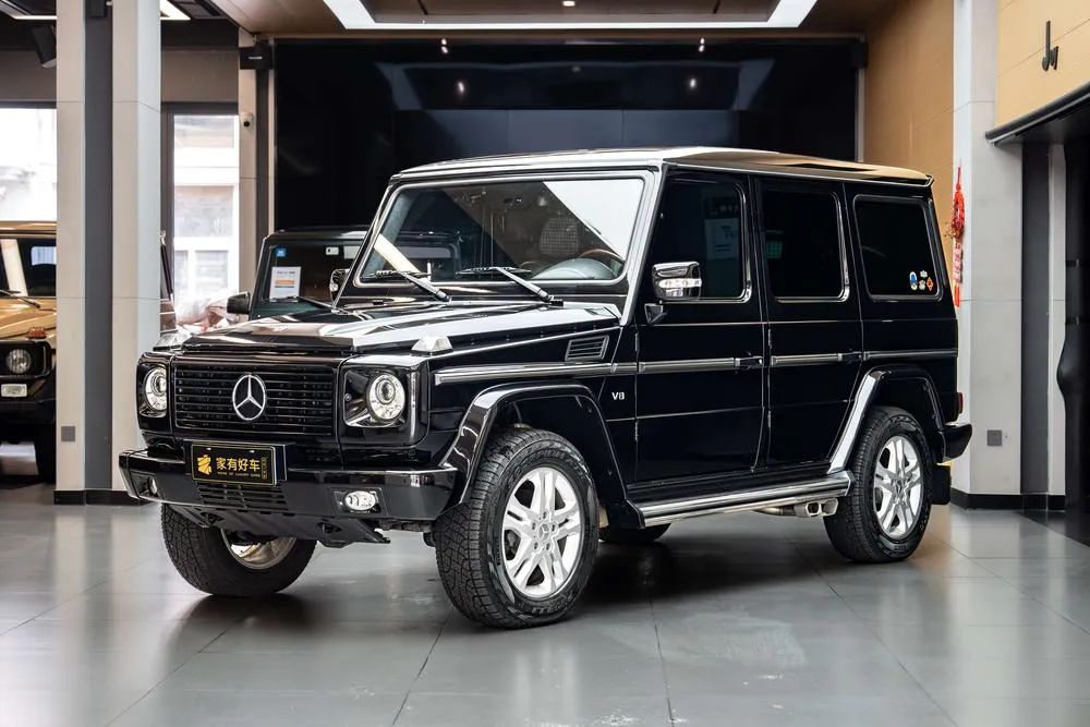 Mercedes-Benz G-Class G 500, 2010 — фото 1