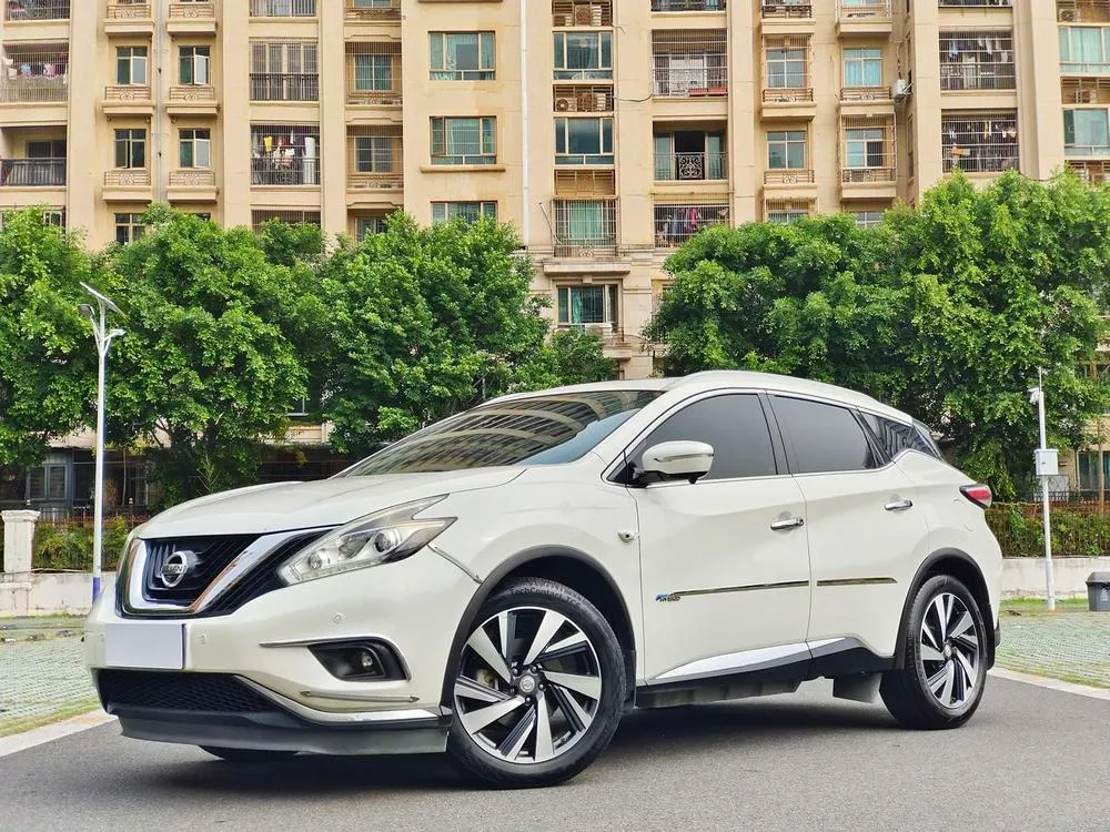 Nissan Murano 2.5 S/C HEV XL 4WD Hybrid Premium Edition, 2017 — фото 1