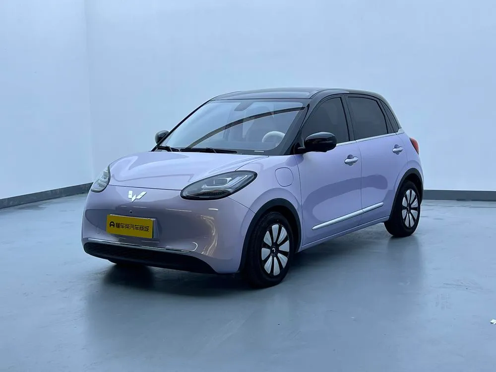 Wuling Bingo, 2025