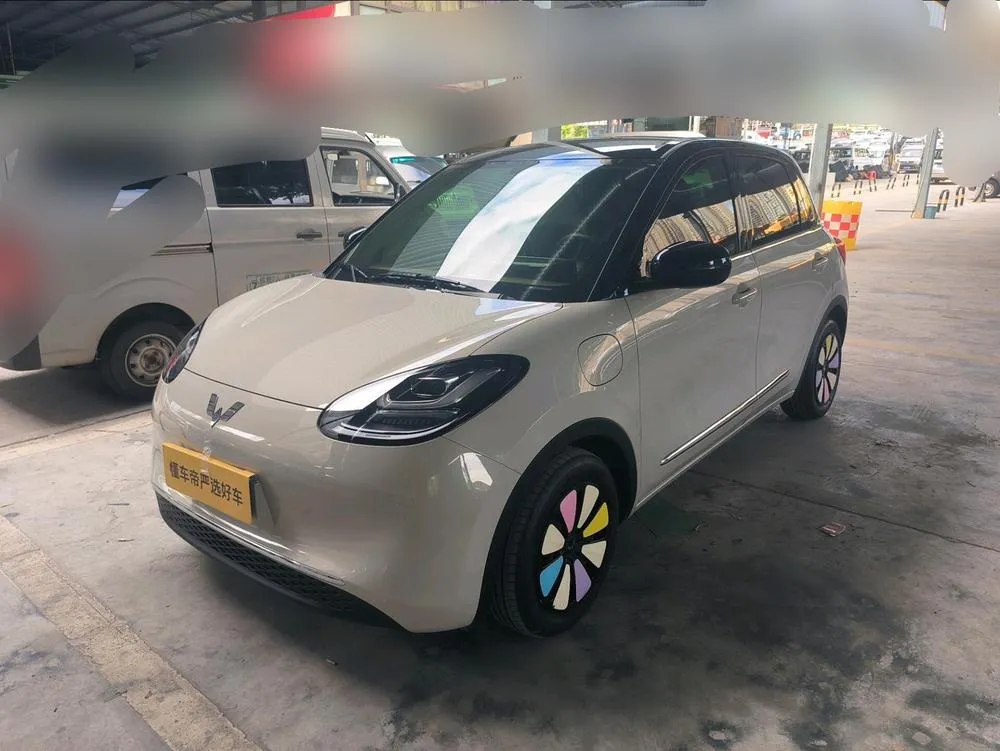Wuling Bingo, 2024