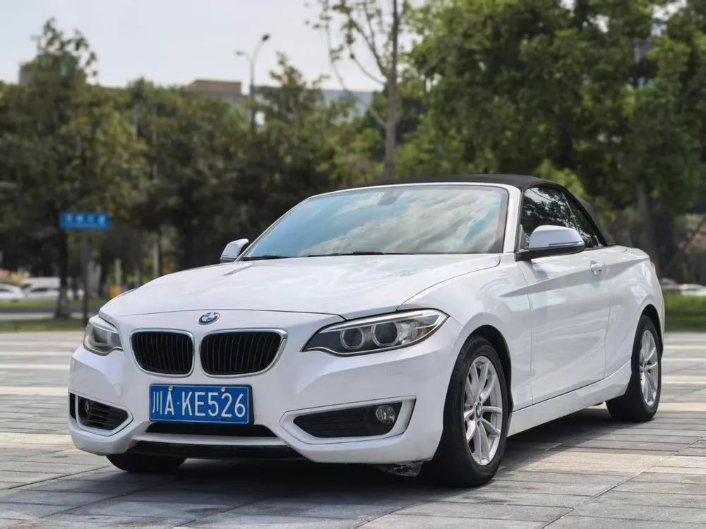 BMW 2-Series (Import), 2015