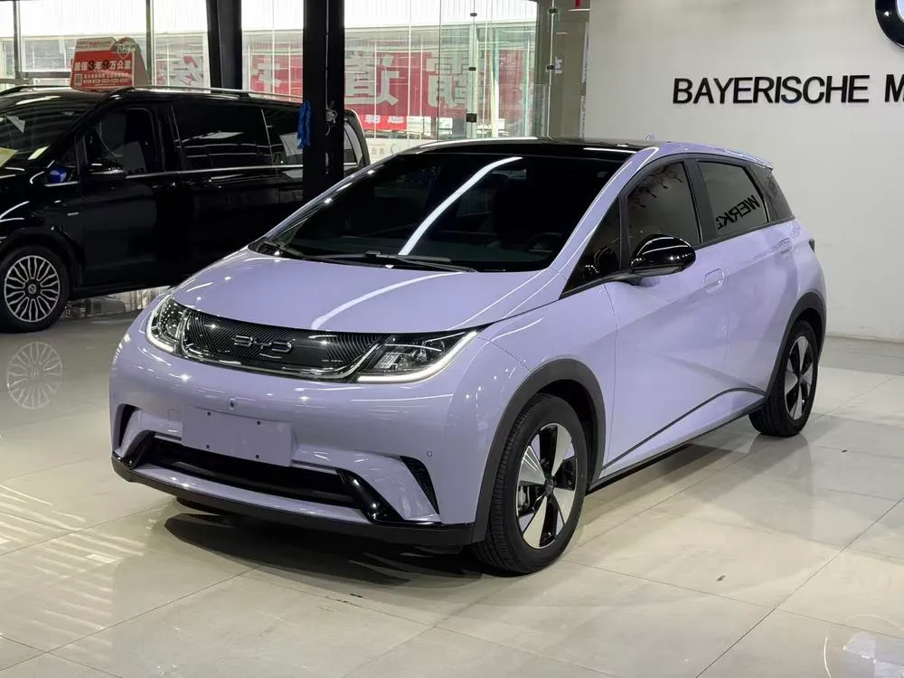 BYD Dolphin, 2023