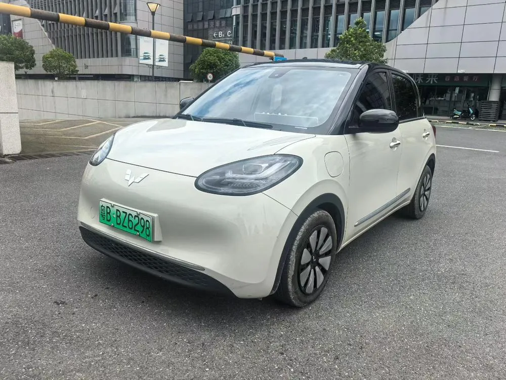 Wuling Bingo, 2024