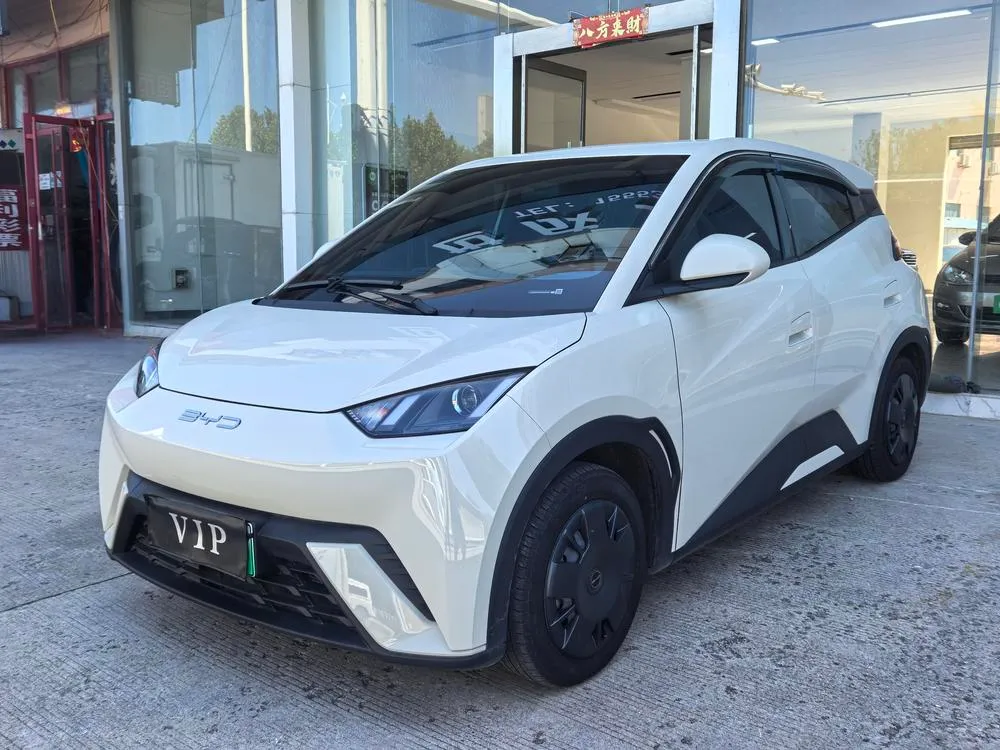BYD Seagull, 2024