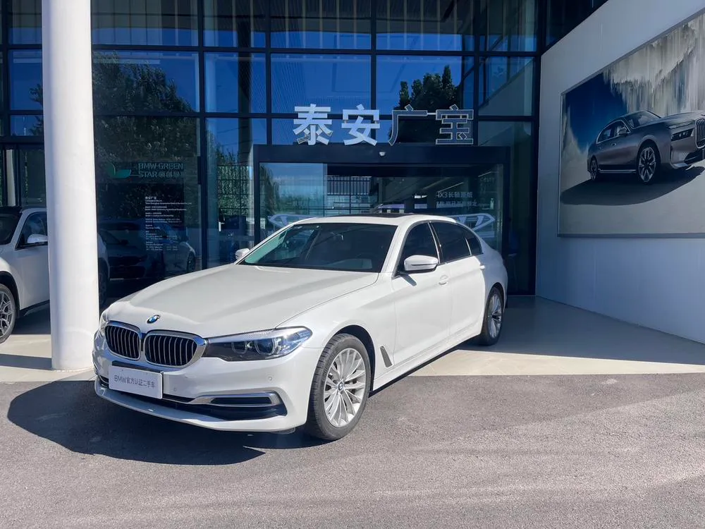 BMW 5-Series Facelift 530Li Leading Version Luxury, 2019 — фото 1