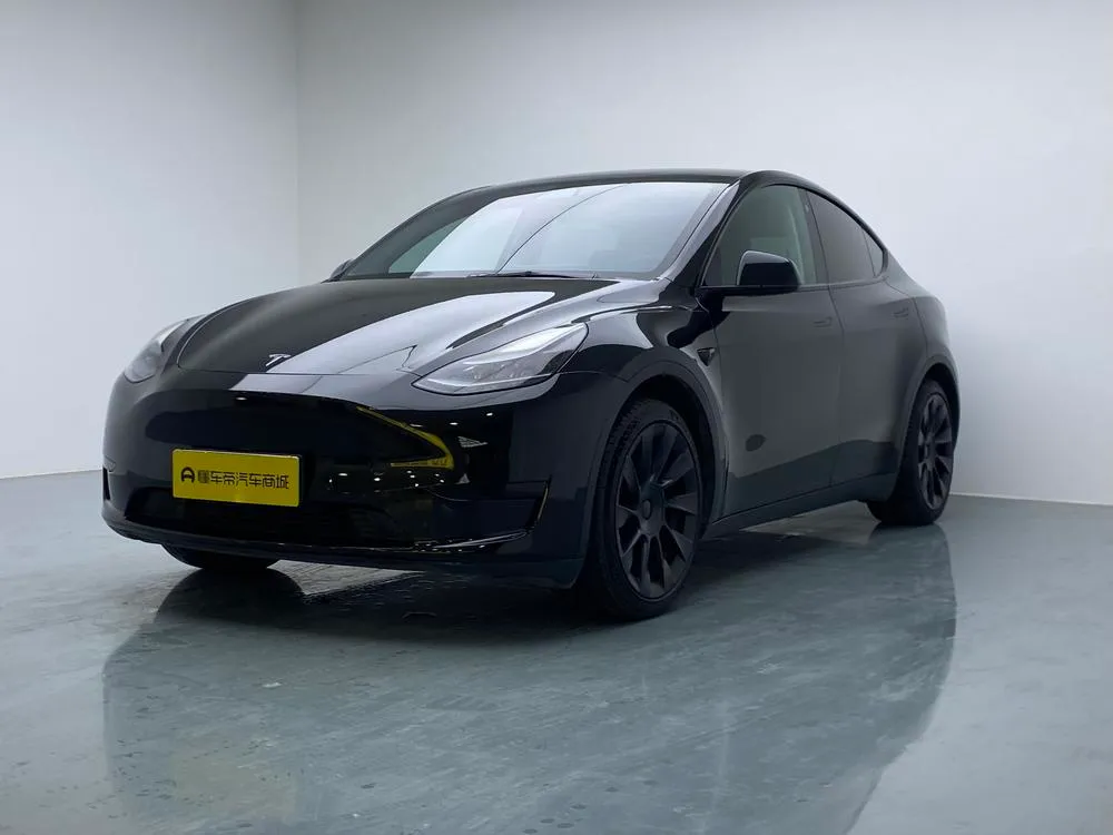 Tesla Model Y Edition, 2022 — фото 1