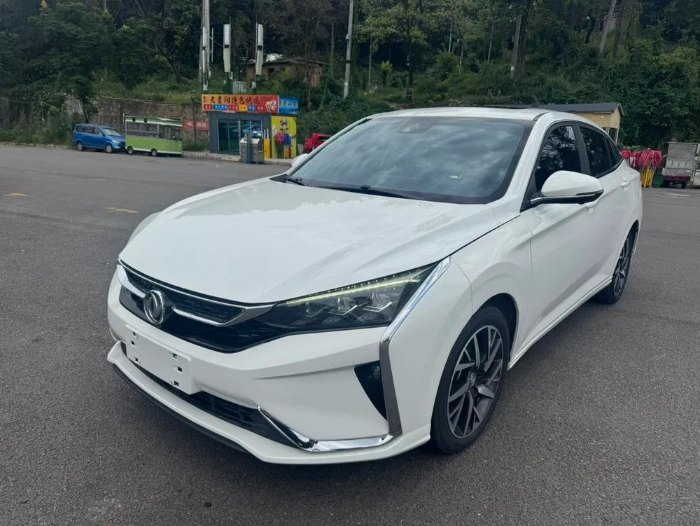 Dongfeng Fengshen Yixuan, 2020