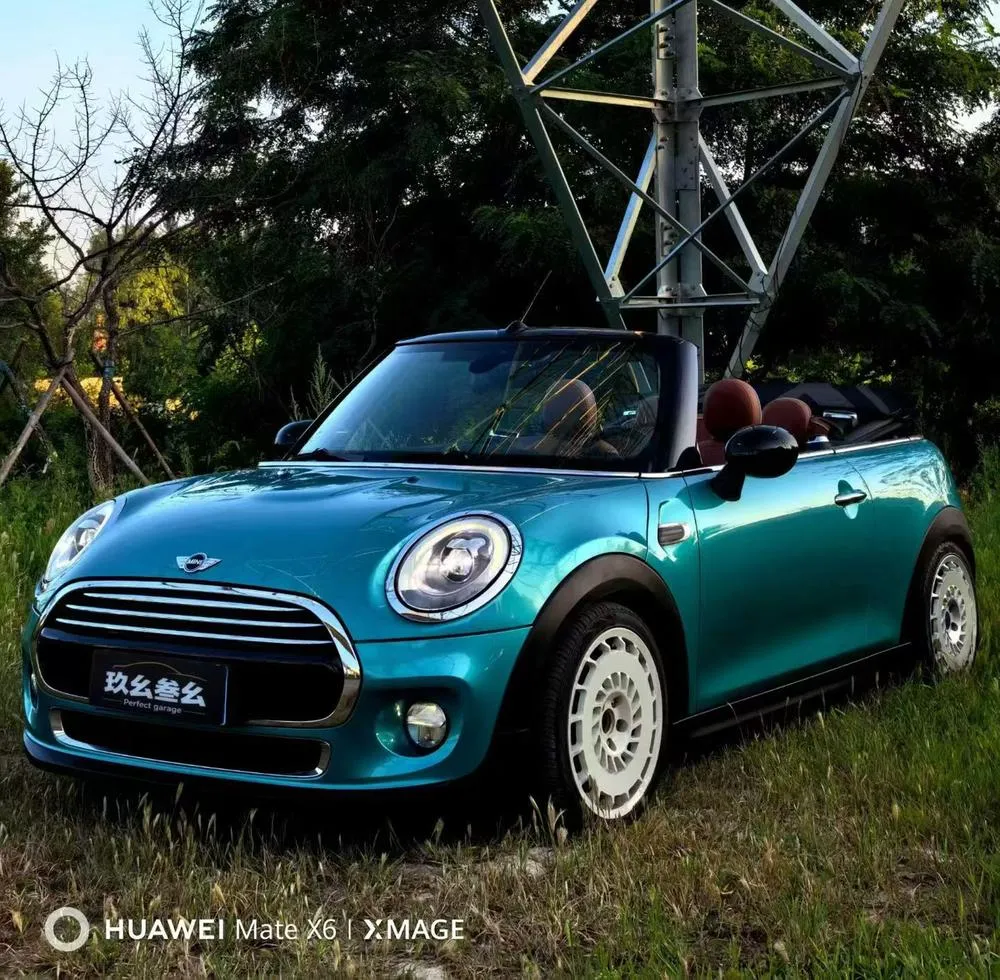 MINI MINI, 2017