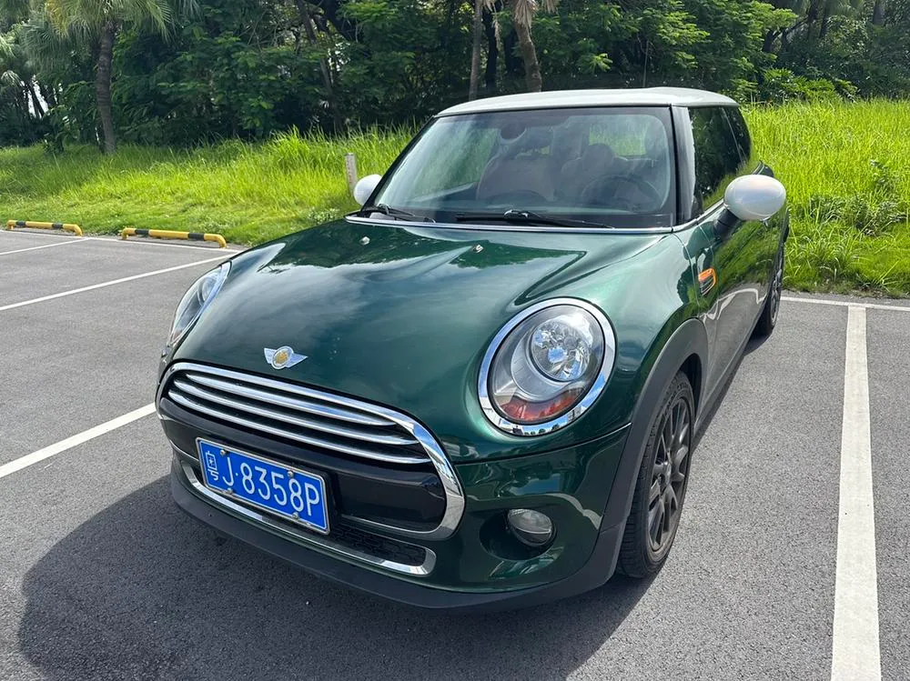 MINI MINI, 2016