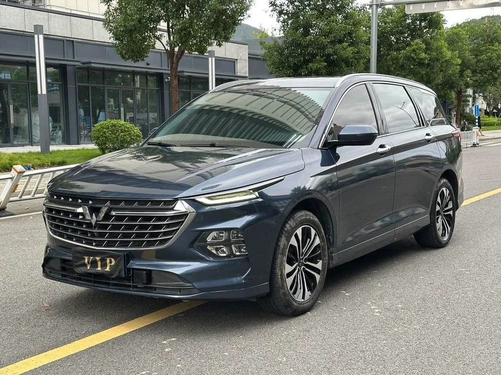 Wuling Capgemini Victory, 2020