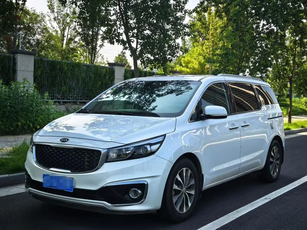 Kia Carnival (Import), 2015