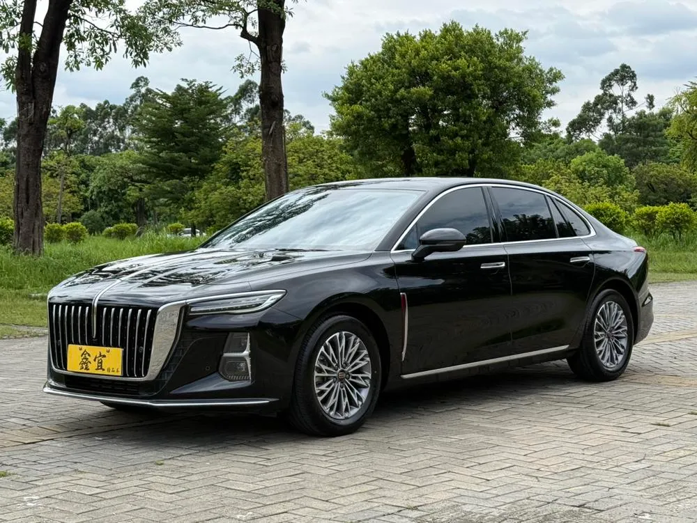 Hongqi H5, 2024