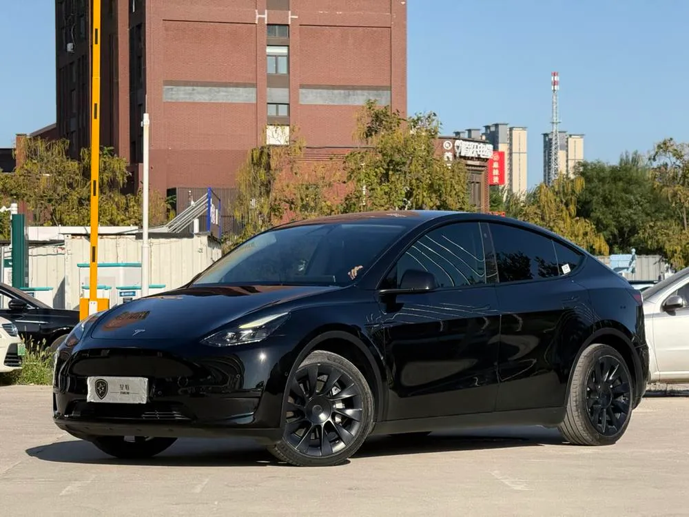 Tesla Model Y, 2022