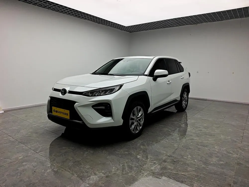 Toyota Wildlander, 2020