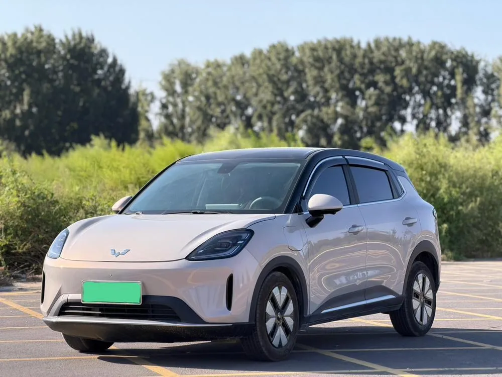 Wuling Bingo S, 2025