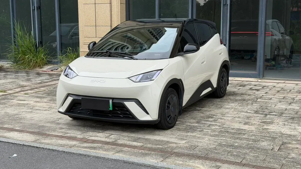 BYD Seagull, 2024