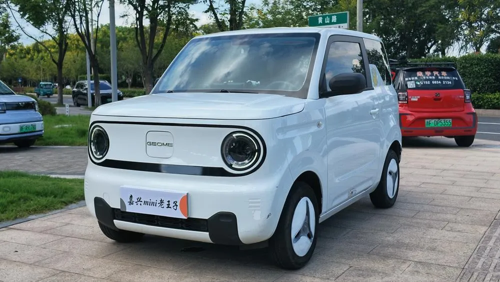 Galaxy Panda, 2024