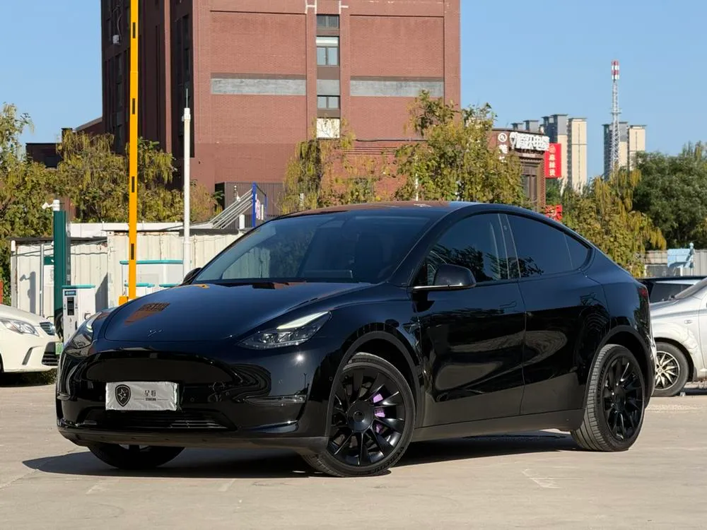 Tesla Model Y, 2021