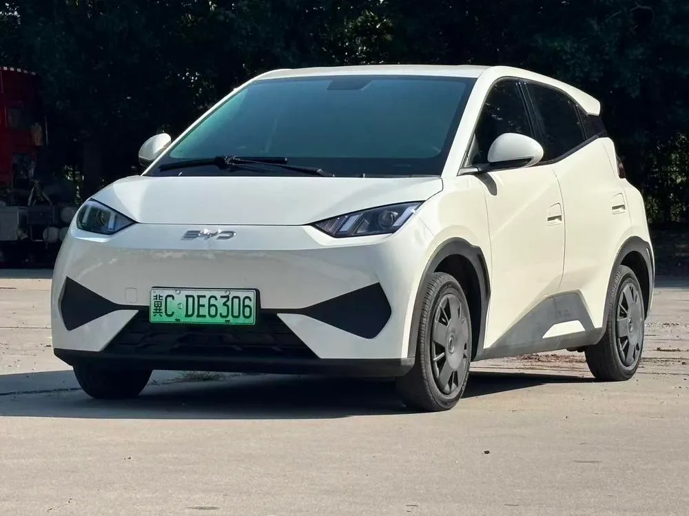 BYD Seagull, 2025