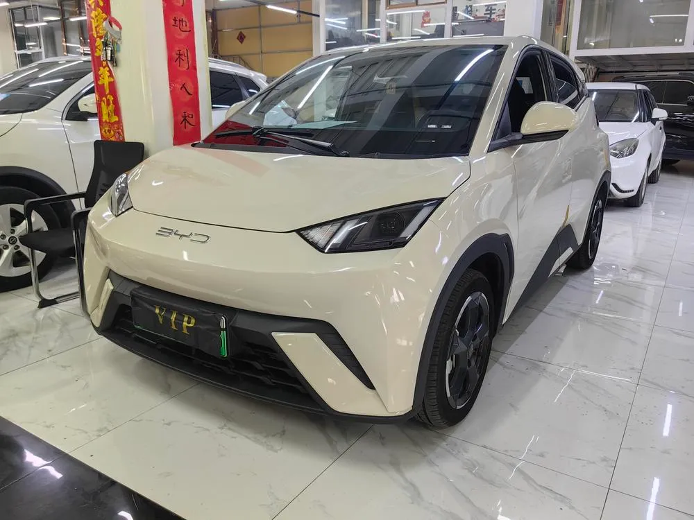 BYD Seagull, 2024