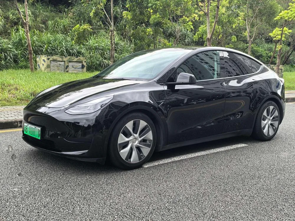 Tesla Model Y Edition, 2022 — фото 1