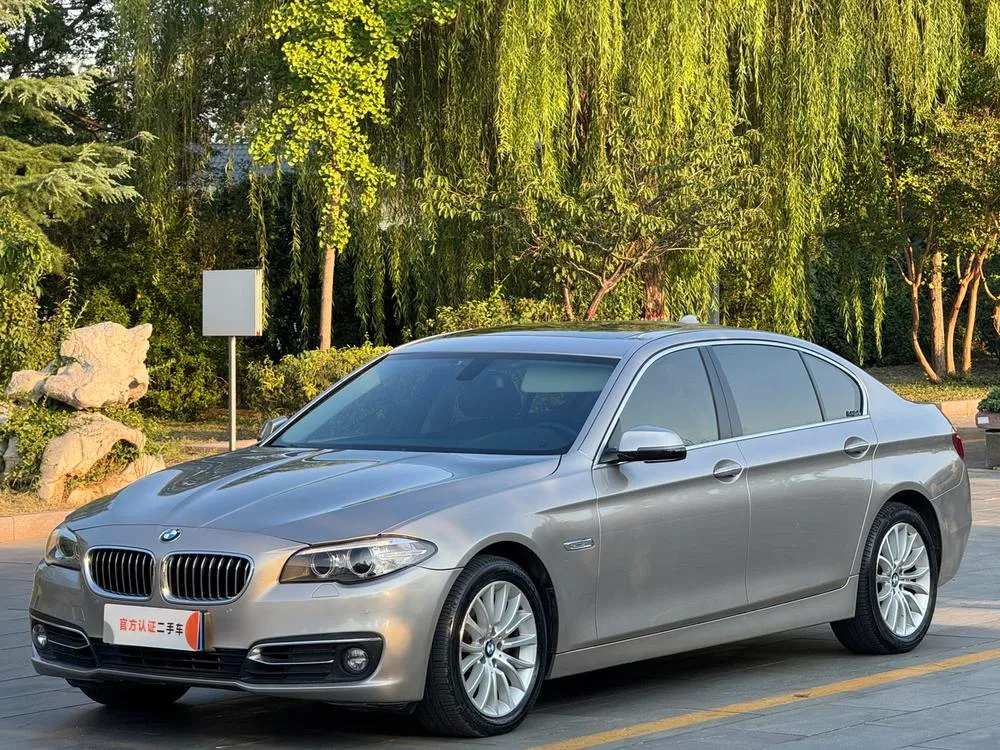 BMW 5-Series, 2014
