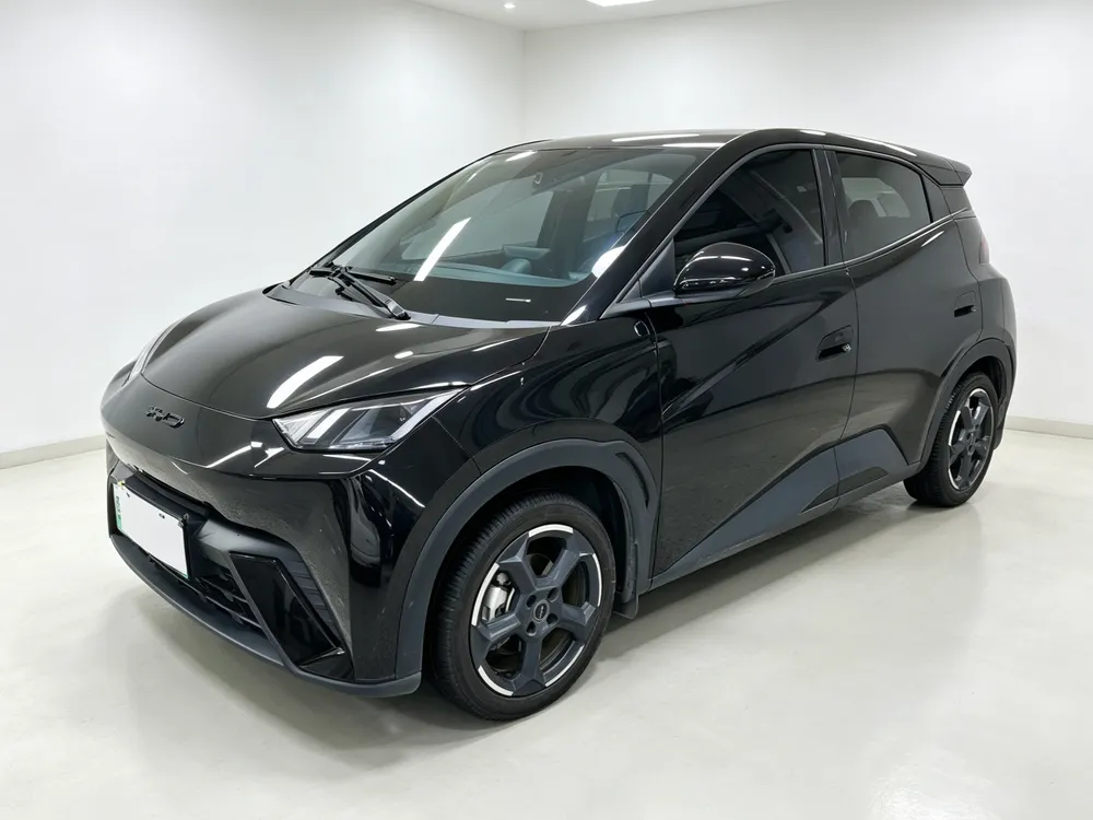 BYD Seagull, 2023