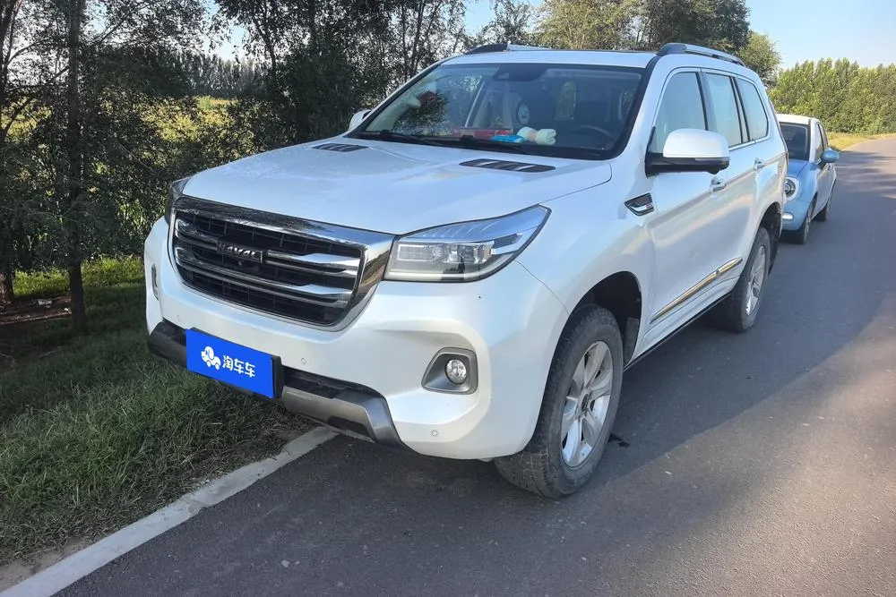 Haval H9, 2020